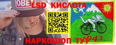 ГАЛЛЮЦИНОГЕННЫЕ ГРИБЫ Будённовск