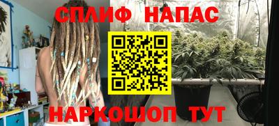 ГАЛЛЮЦИНОГЕННЫЕ ГРИБЫ Будённовск