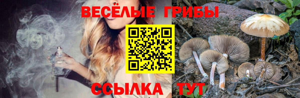 Галлюциногенные грибы мухоморы Котлас