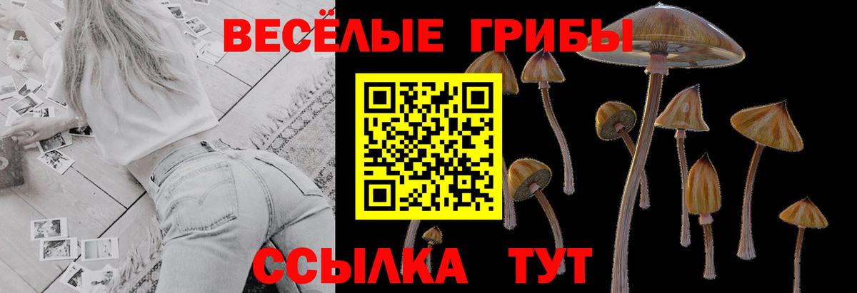 Псилоцибиновые грибы Psilocybine cubensis  Вход с VPN  Котлас 